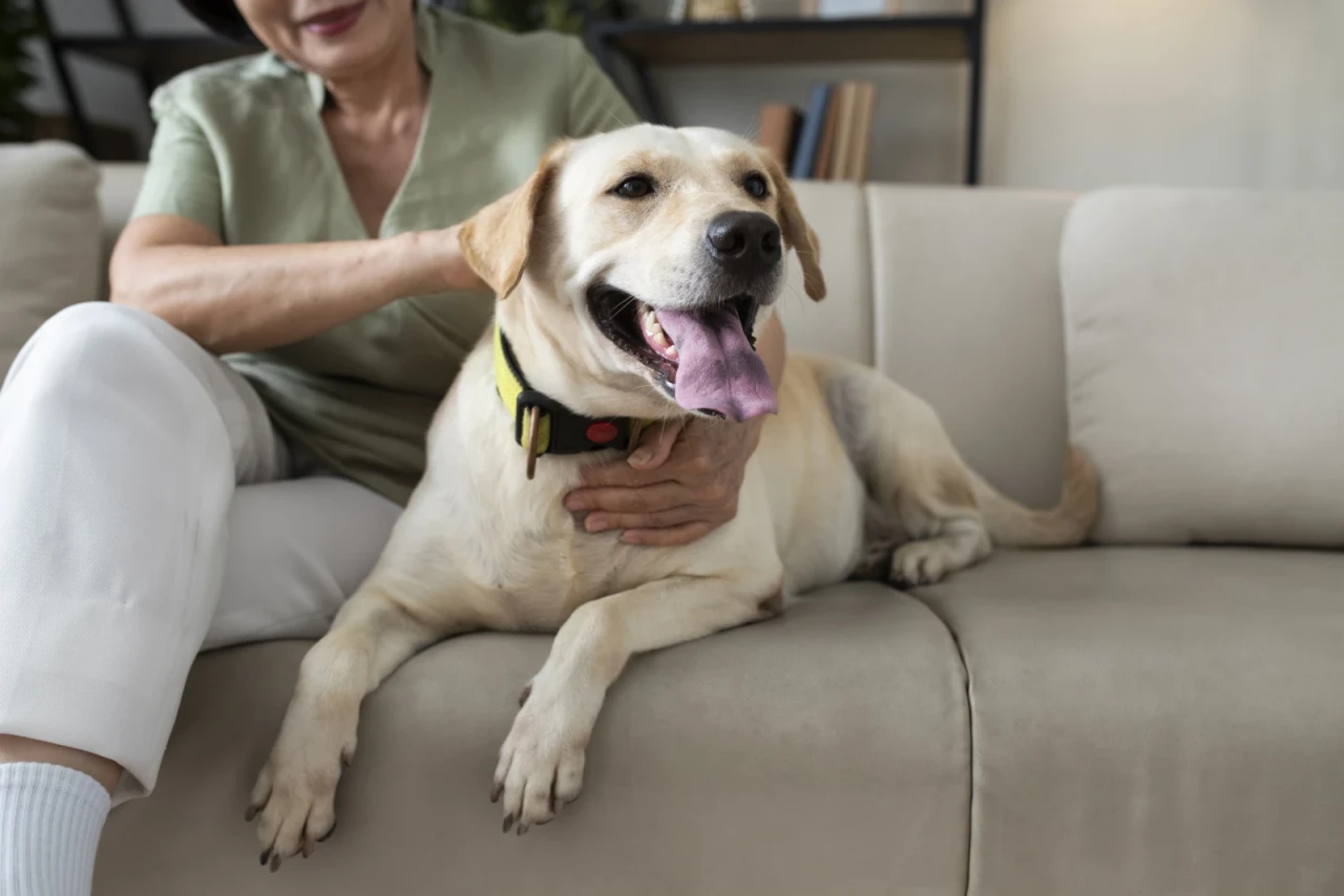 Woman relaxing on her sofa at home with her dog