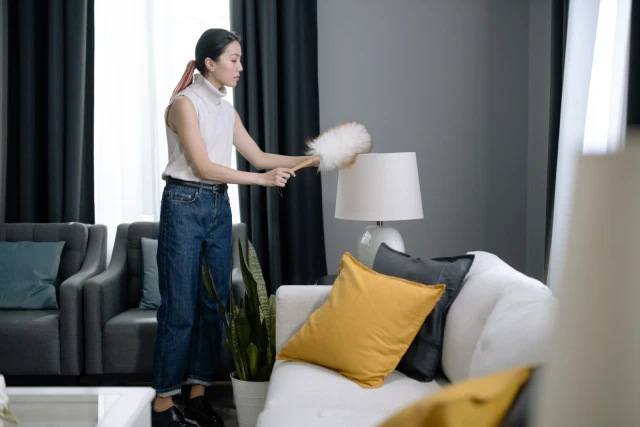 House Cleaning - book online with Bookme