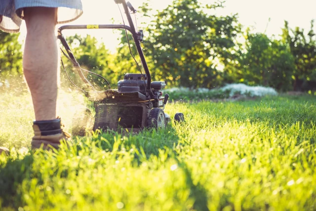 Lawn Care - book online with Bookme