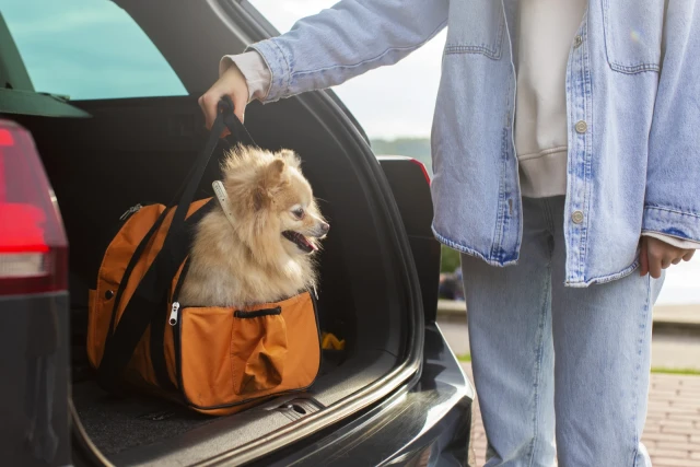 Pet Boarding - book online with Bookme