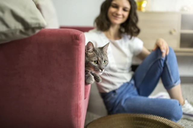 Pet Sitting - book online with Bookme